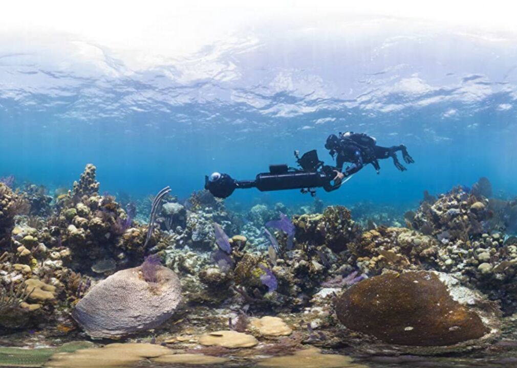 #21. Chasing Coral (2017)
